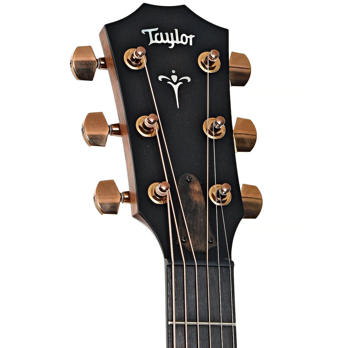 Front headstock of Taylor 724ce Acoustic Guitar