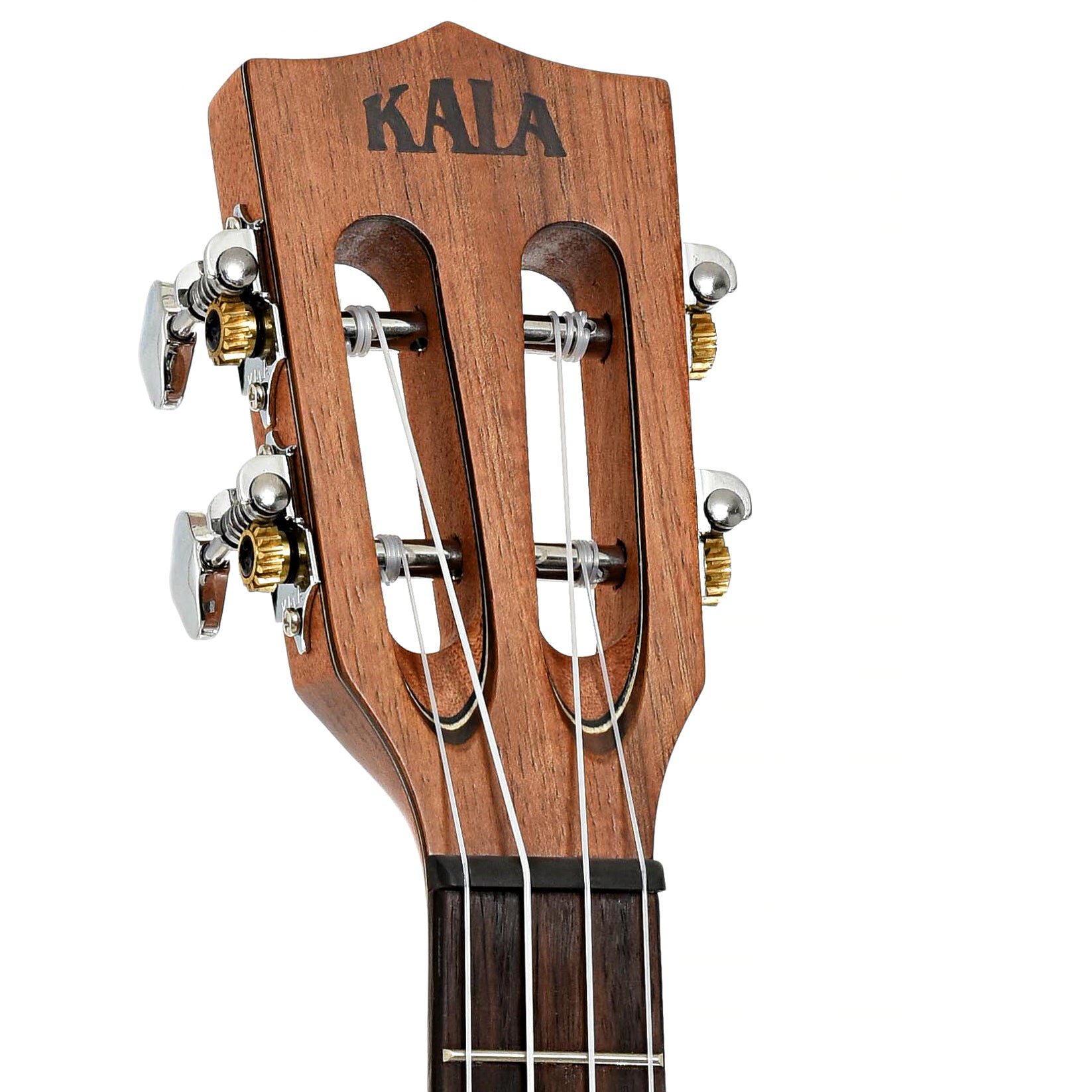 Headstock of Kala KA-SA-T Solid Acacia Tenor Ukulele