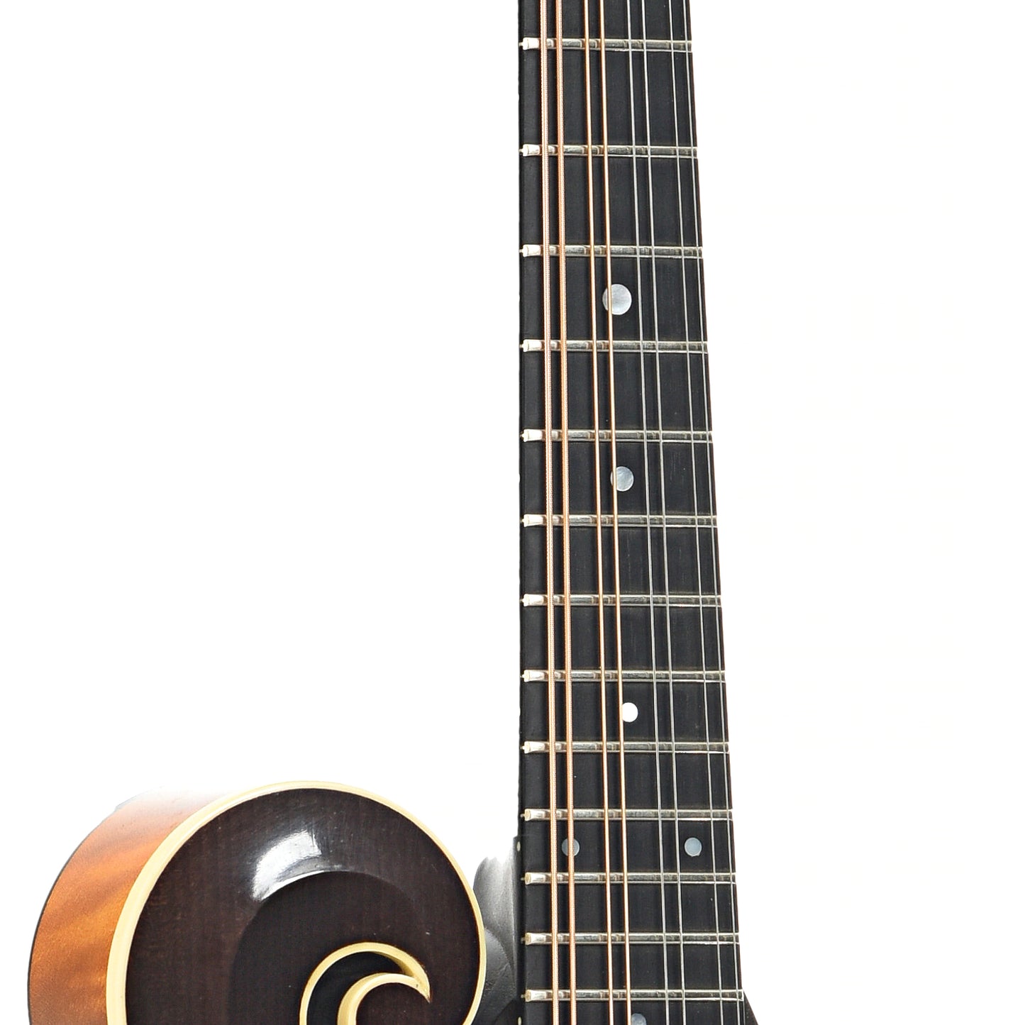 Fretboard of Collings MF F-Style Mandolin (2010)