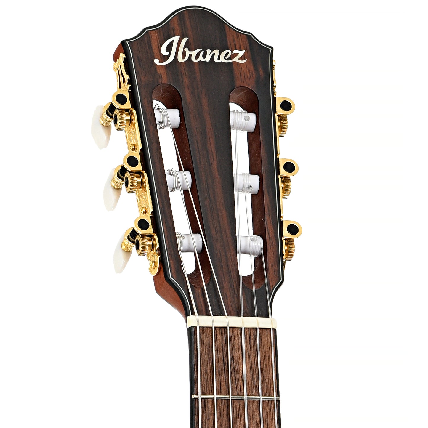 Front headstock of Ibanez FRH10N Acoustic-Electric Nylon String Guitar, Indigo Blue Metallic Flat