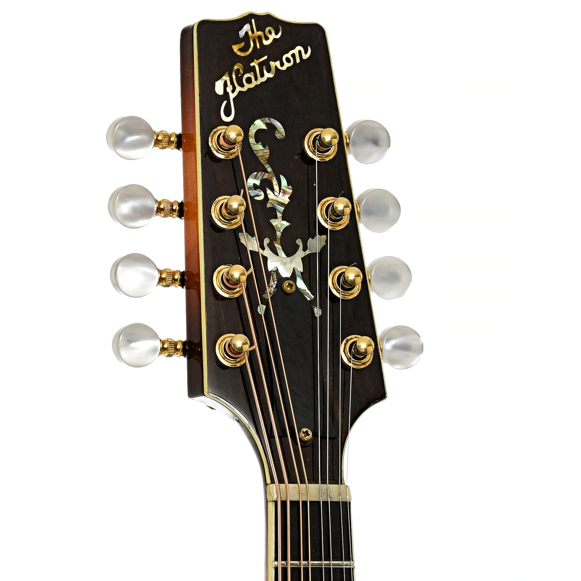 Headstock of Flatiron A-5 Artist Mandolin 