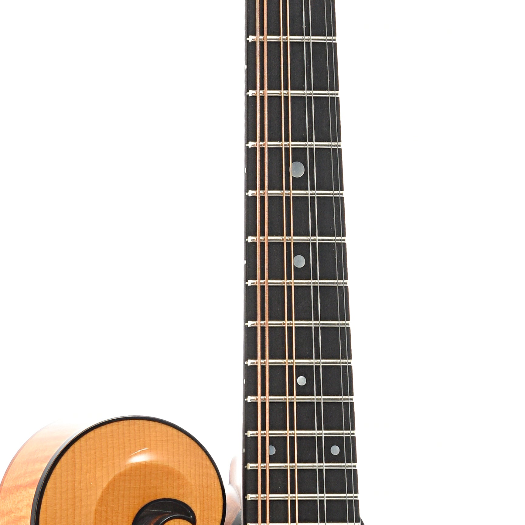 Fretboard of Collings MF F-Model 