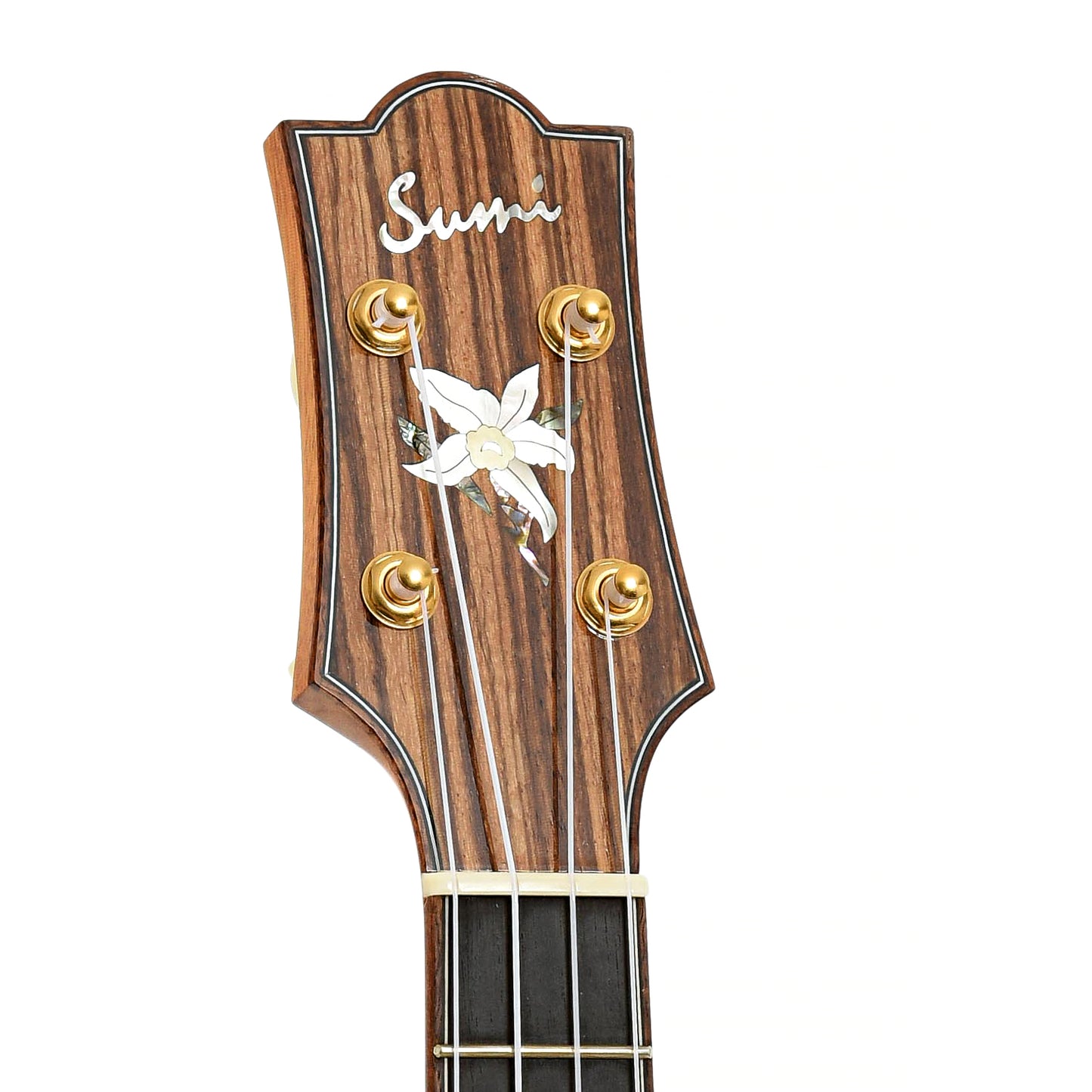 Headstock of Sumi Beli tenor ukulele