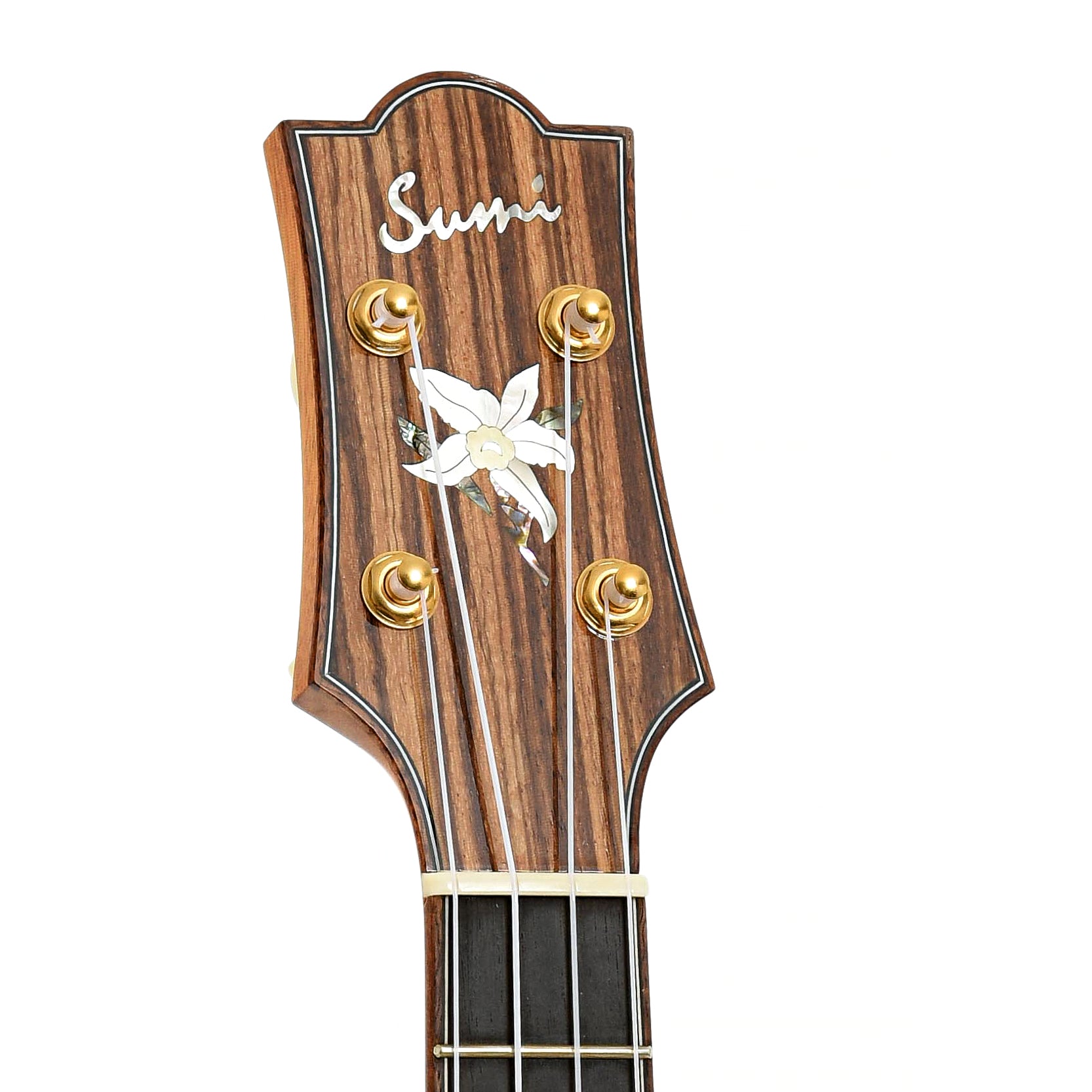 Headstock of Sumi Beli tenor ukulele