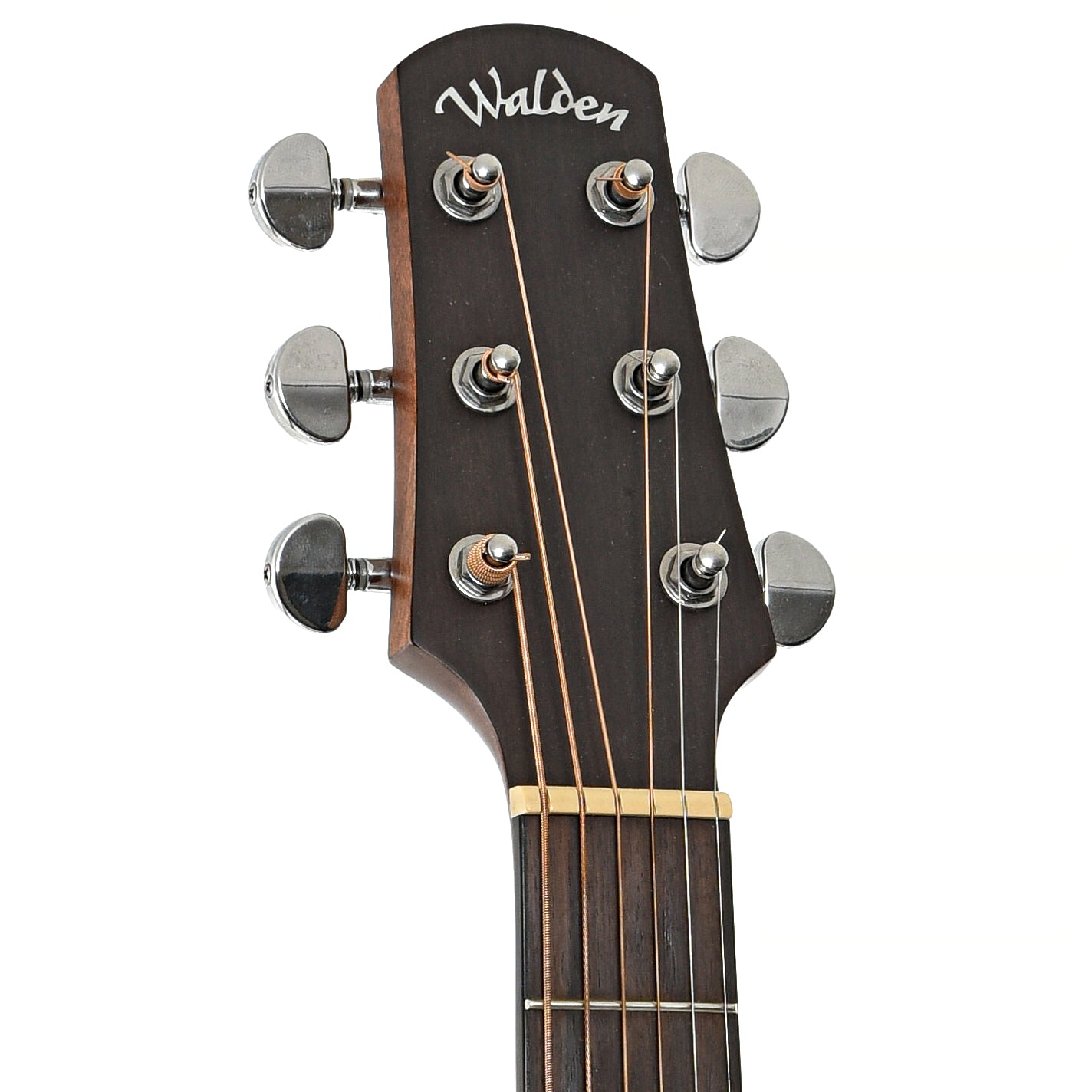 Front headstock of Walden 0550E Acoustic Guitar