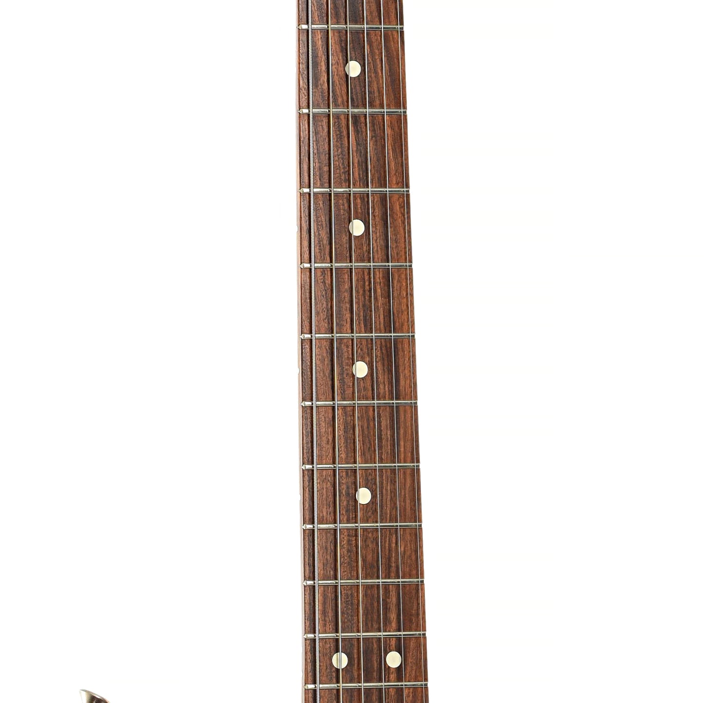 Fretboard of Fender Stratocaster Standard Electric Guitar (2002)