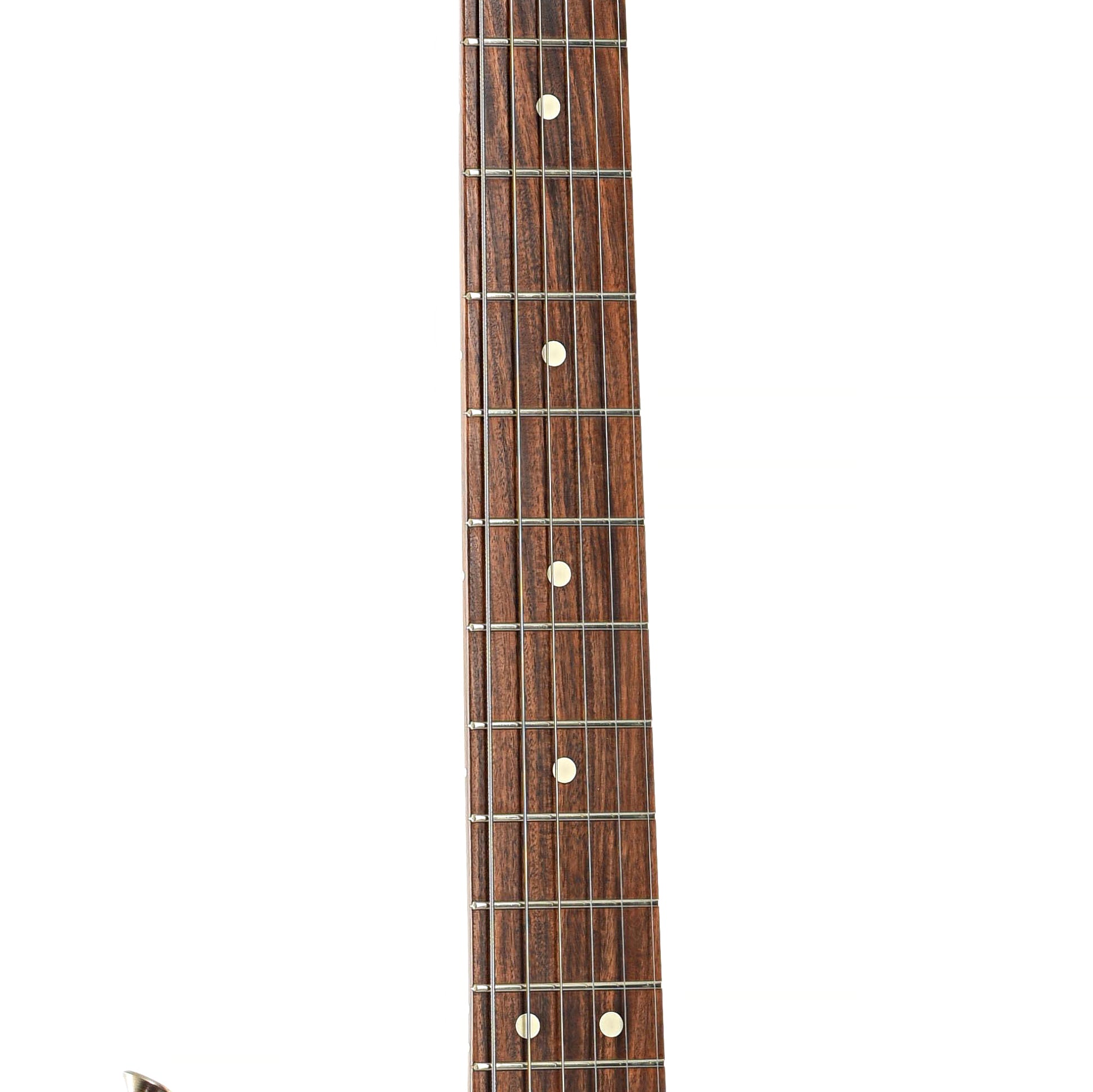 Fretboard of Fender Stratocaster Standard Electric Guitar (2002)