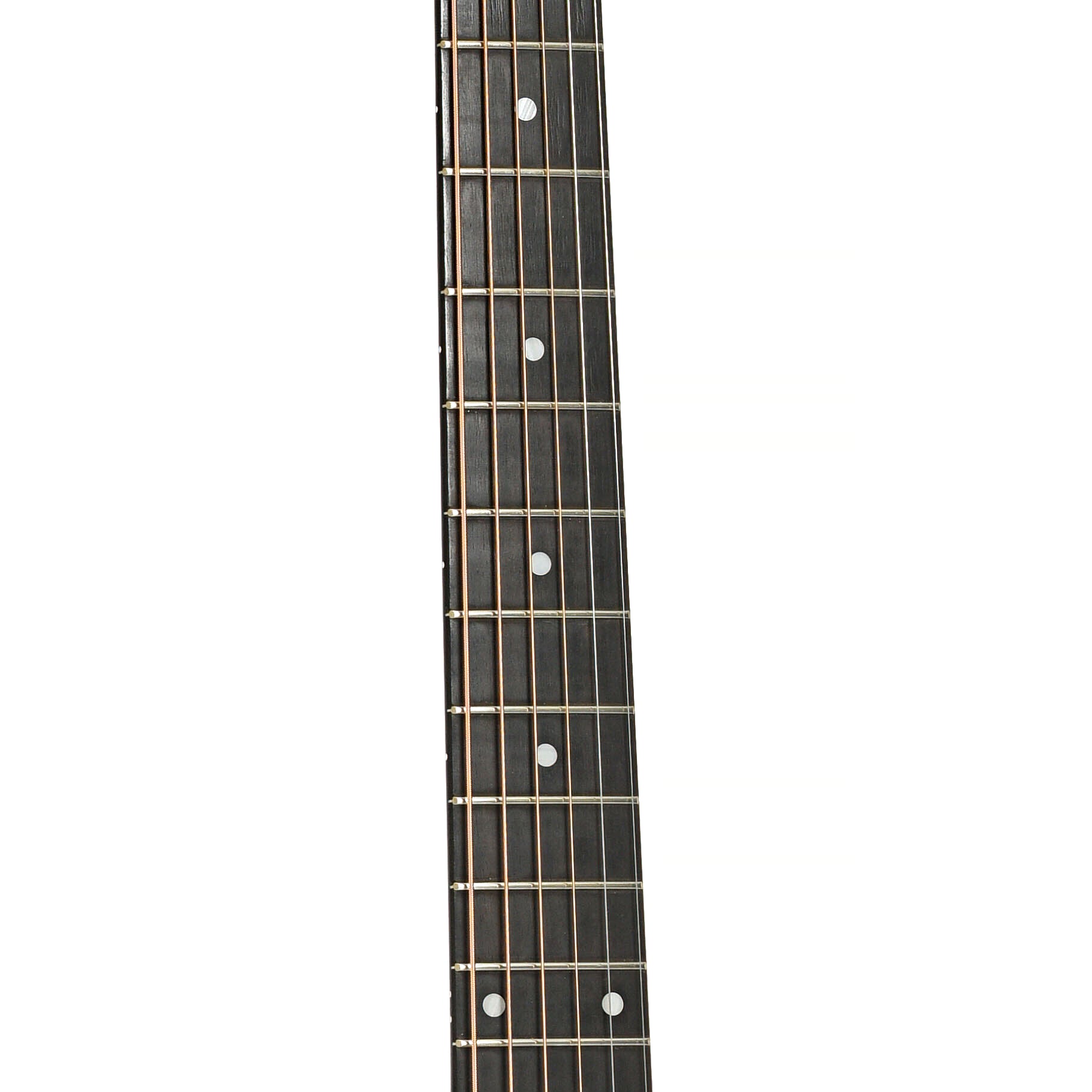 Fretboard of Taylor 210e Acoustic-Electric Guitar (2009)