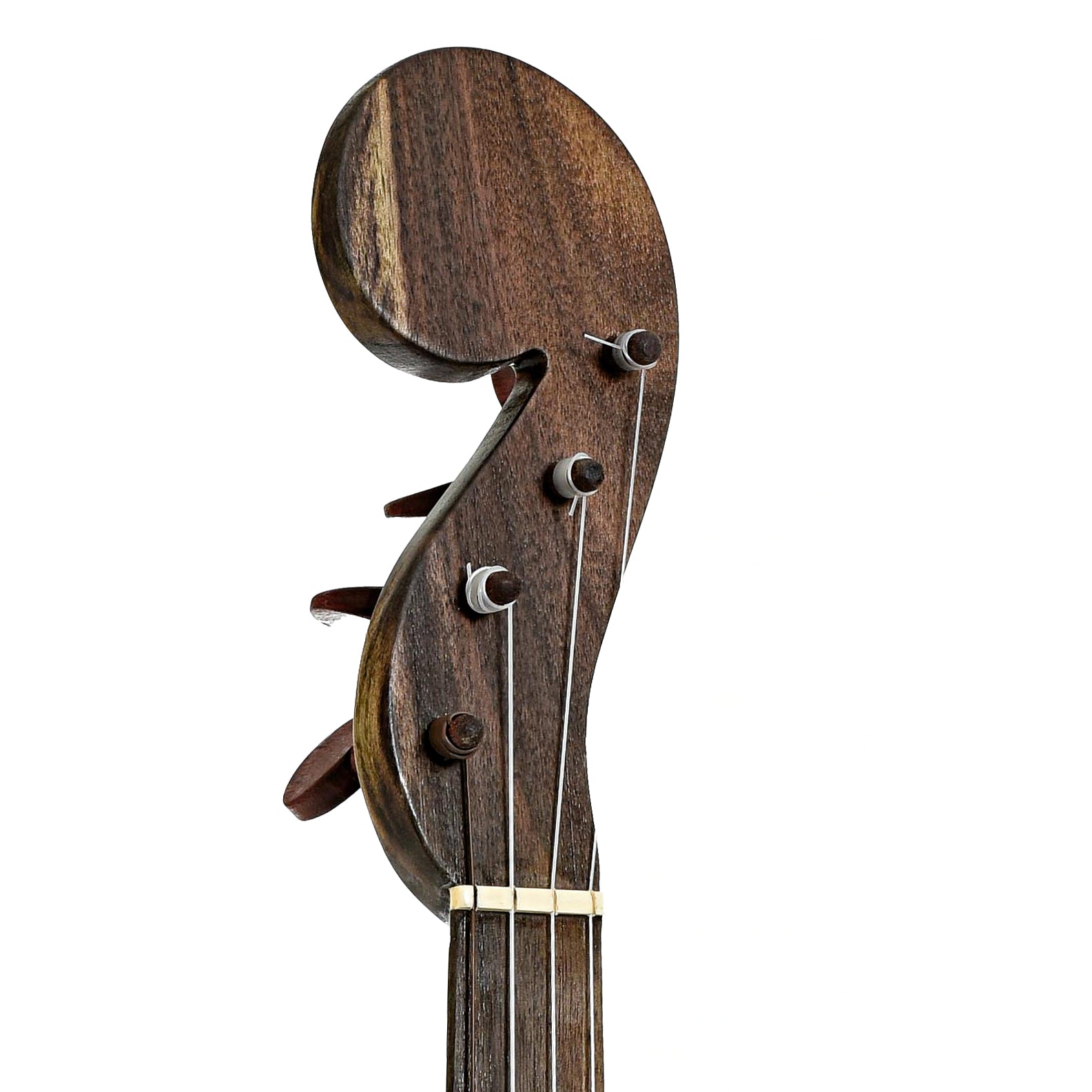 Headstock of Menzies Fretless Gourd Banjo #589