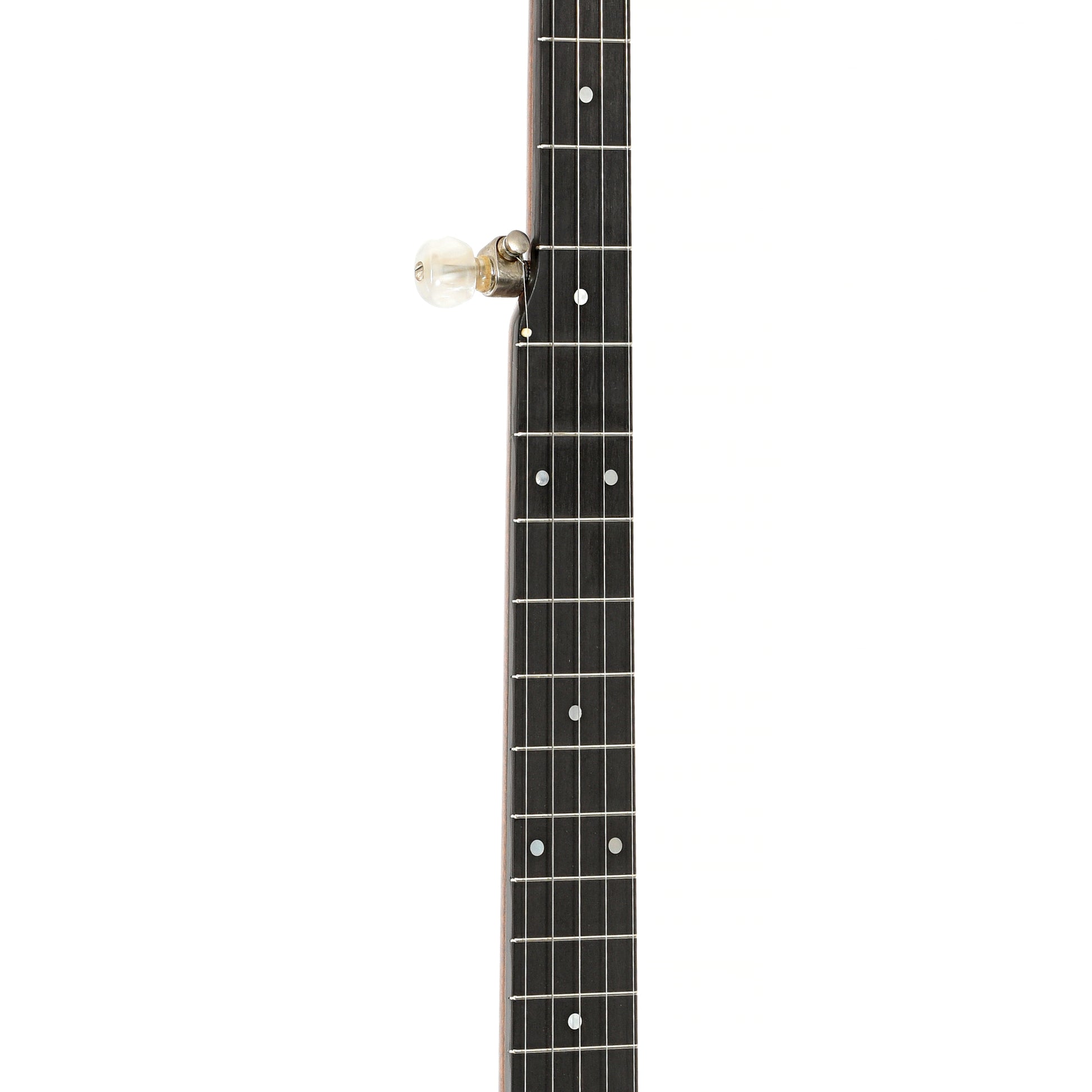 Fretboard of Bart Reiter Standard Open Back Banjo (1983)