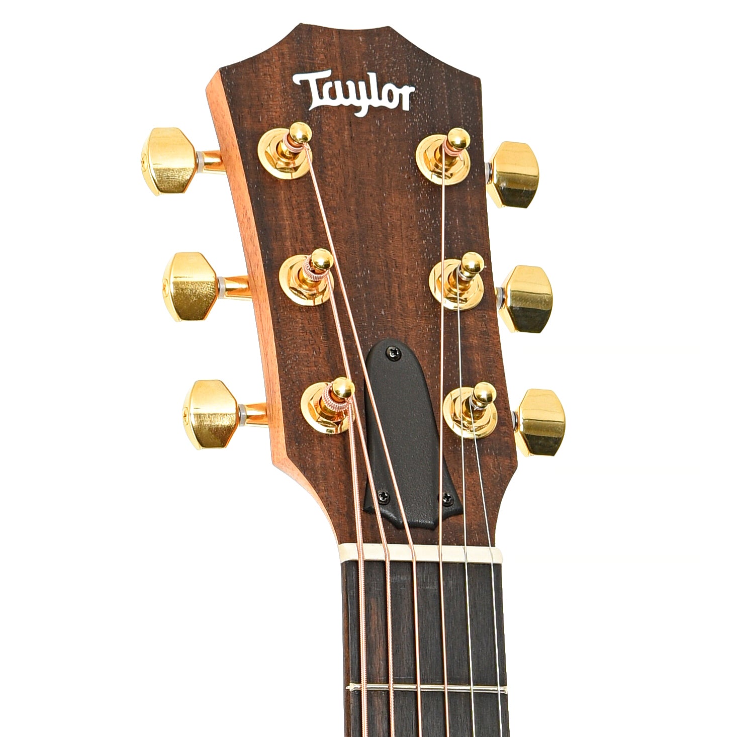 Front headstock of Taylor 50th Anniversary GS Mini-e Rosewood SB LTD Acoustic Guitar