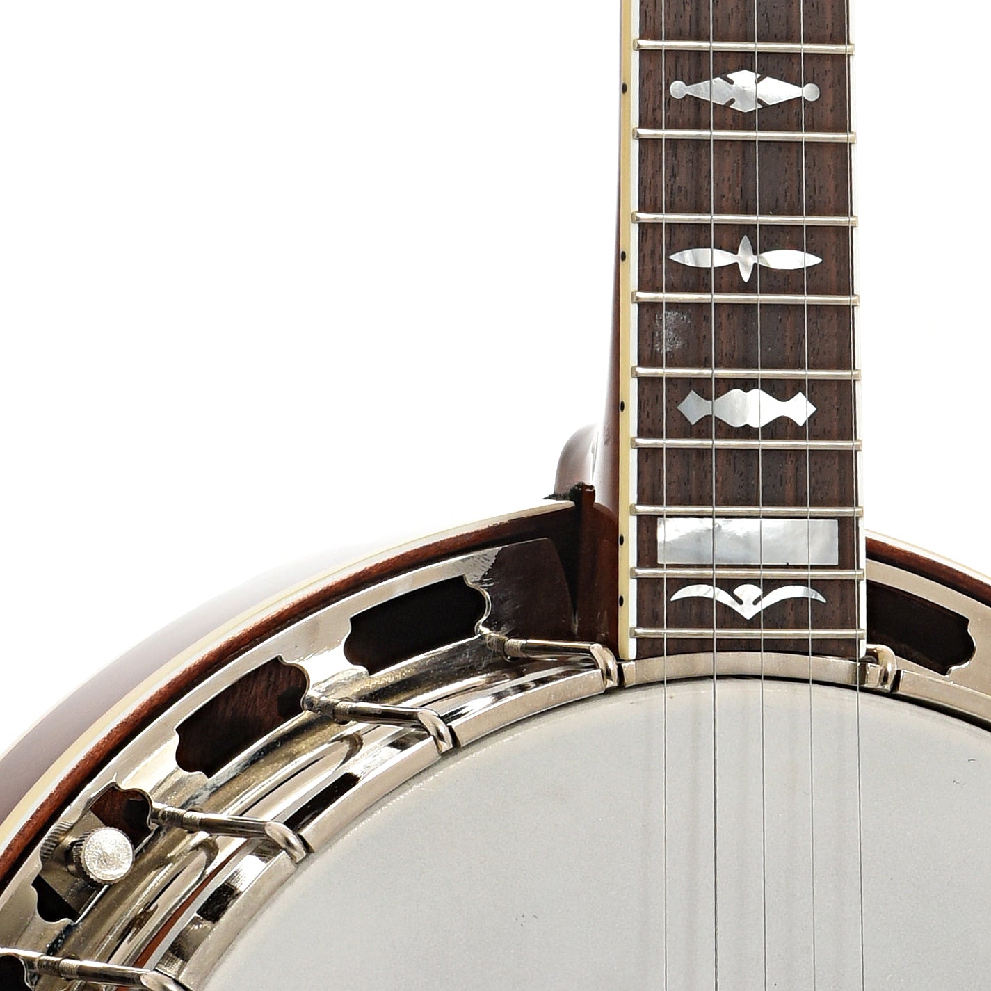 Goldstar gf 85 banjo new arrivals