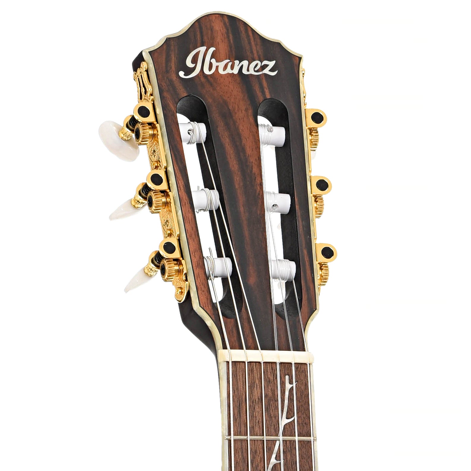 Front headstock of Ibanez TOD10N Tim Henson Signature Acoustic-Electric Nylon String Guitar