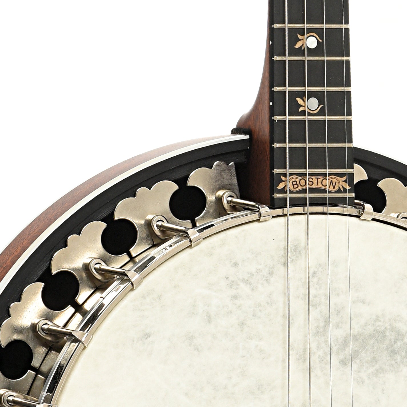 Front neck and body join of Deering Boston Plectrum 4-string Banjo (2014)