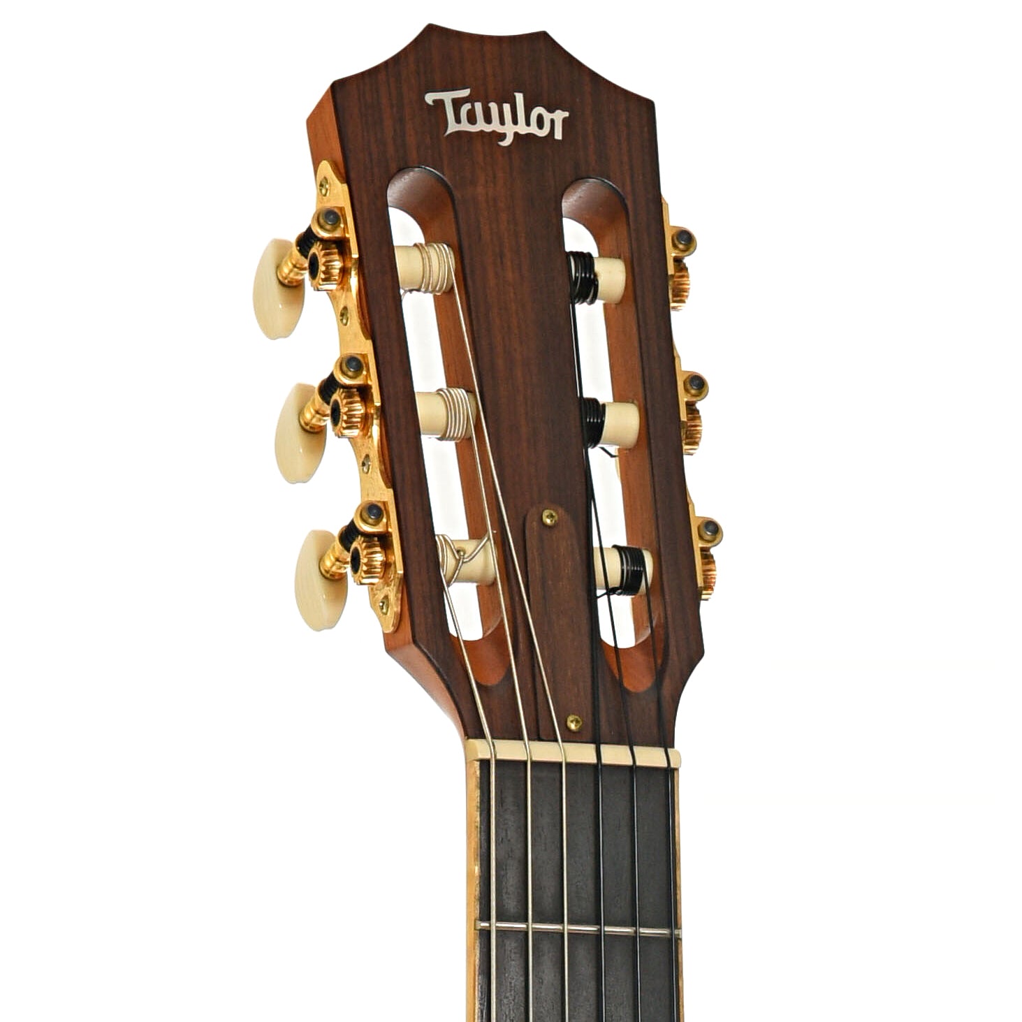 Front headstock of Taylor 814 CEN Nylon String Guitar (2012)