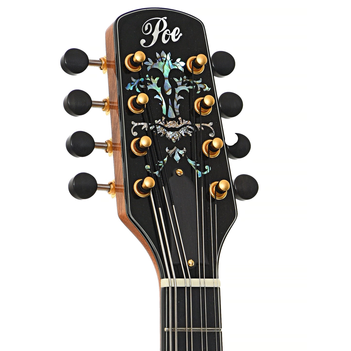 Front headstock of Poe Scout D4-7 Mandola