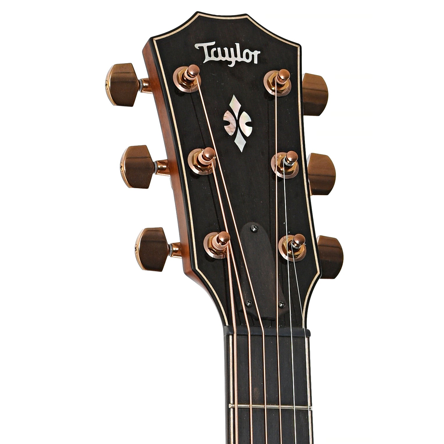 Front headstock of Taylor Custom GA Koa Acoustic-Electric Guitar (2023)