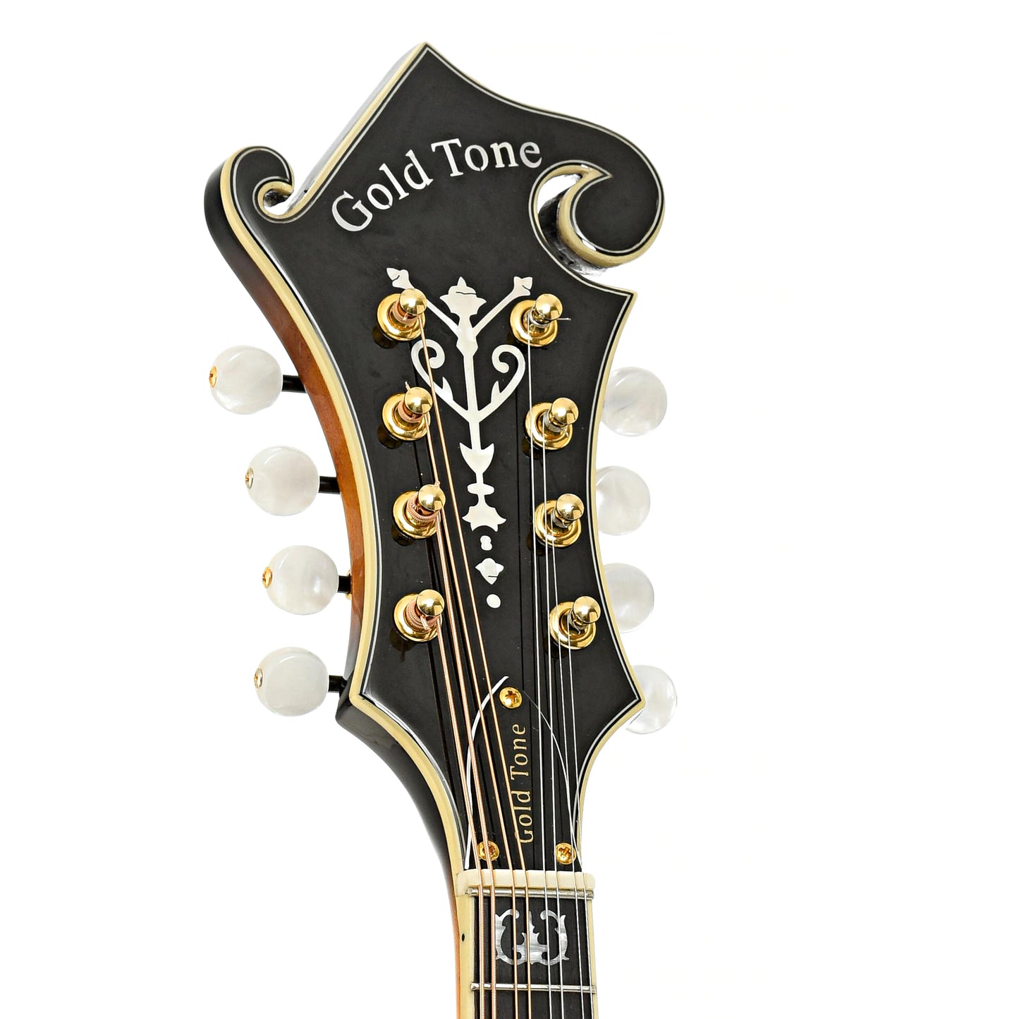 Headstock of Gold Tone GM-70 Plus Mandolin