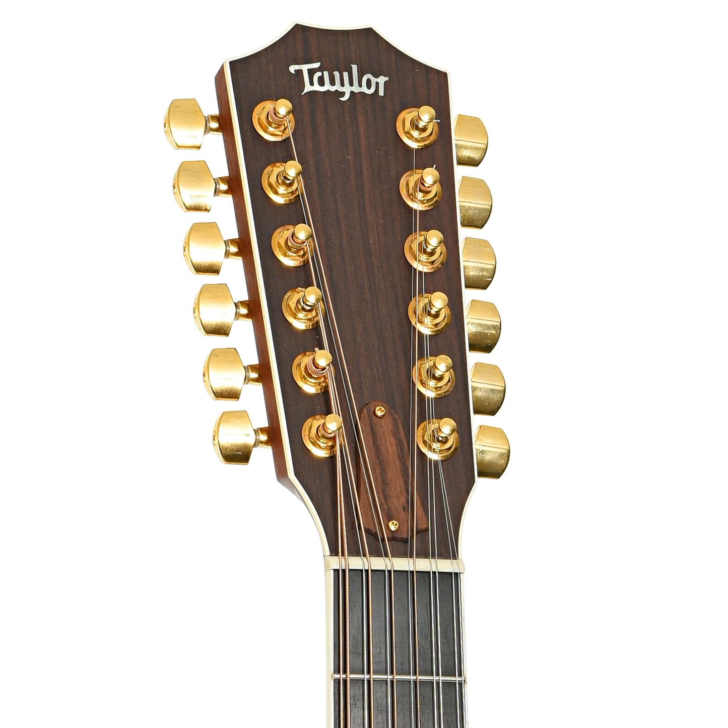 Front headstock of Taylor 855 12-String Acoustic Guitar (2003)