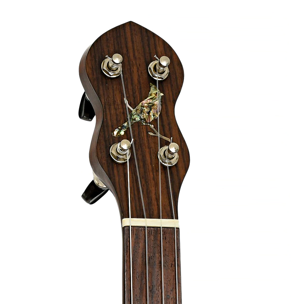 Headstock of Cedar Mountain FH1S Fretless Open Back Banjo