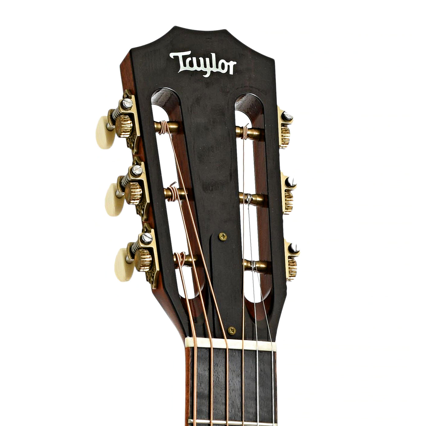 Headstock of Taylor 12-Fret GA LTD Acoustic-Electric Guitar