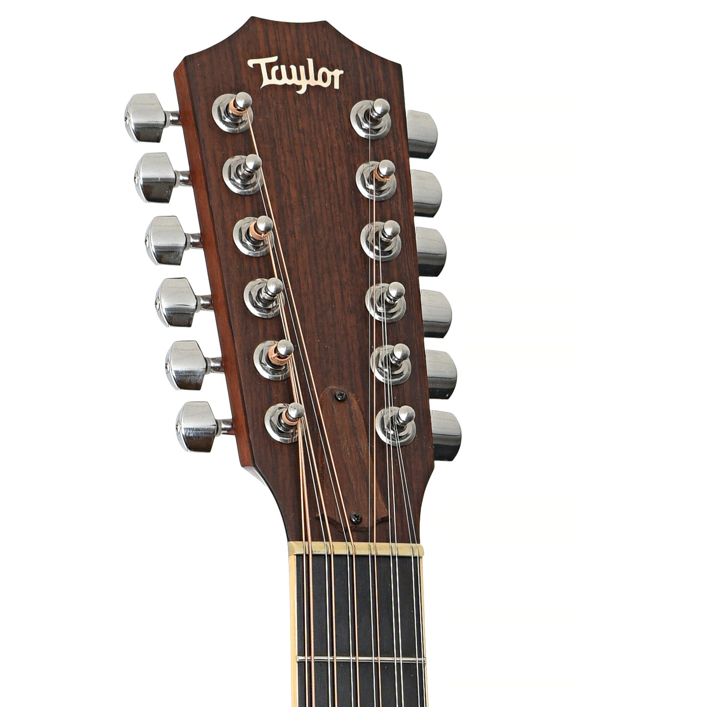 Front headstock of Taylor GA3-12 12-String Acoustic Guitar (2007)