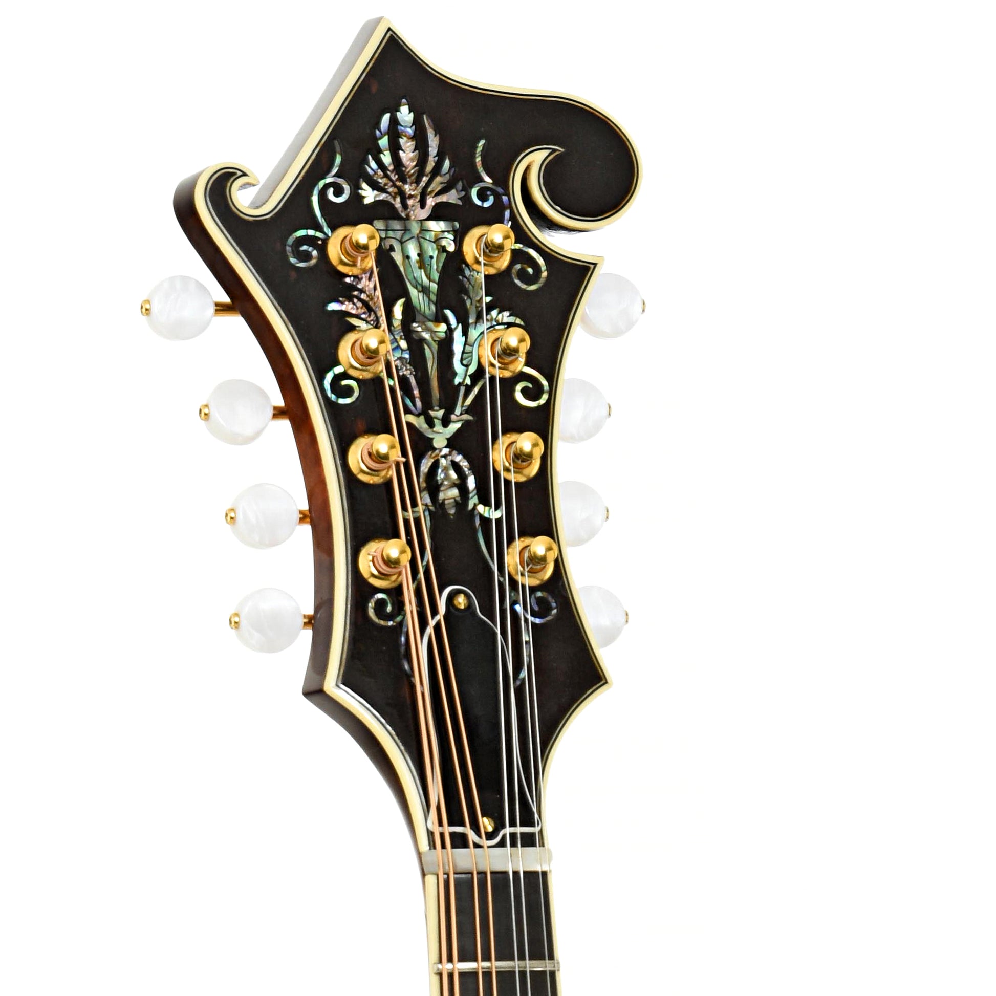 Headstock of Stiver F-5 Mandolin