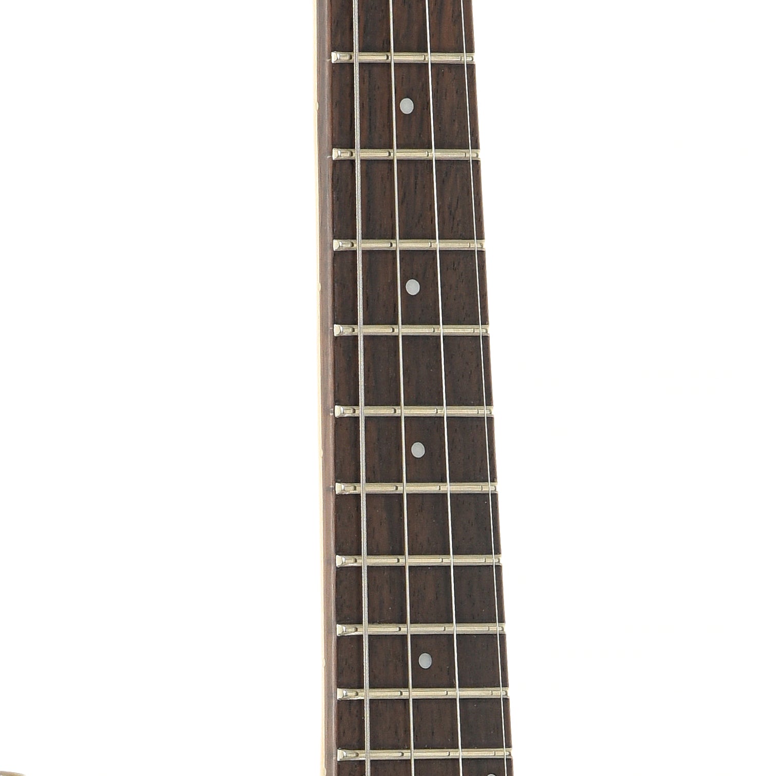 Fretboard of Fender Mandocaster Electric Mandolin