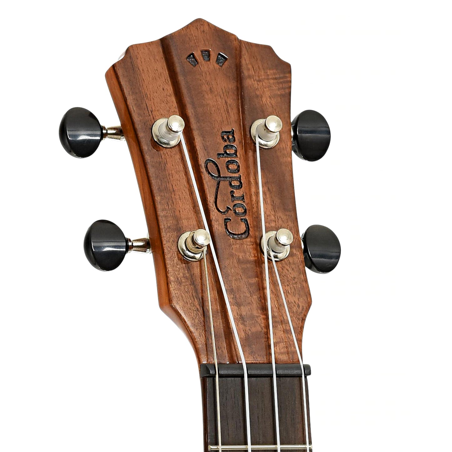 Headstock of Cordoba 30T Tenor Ukulele 