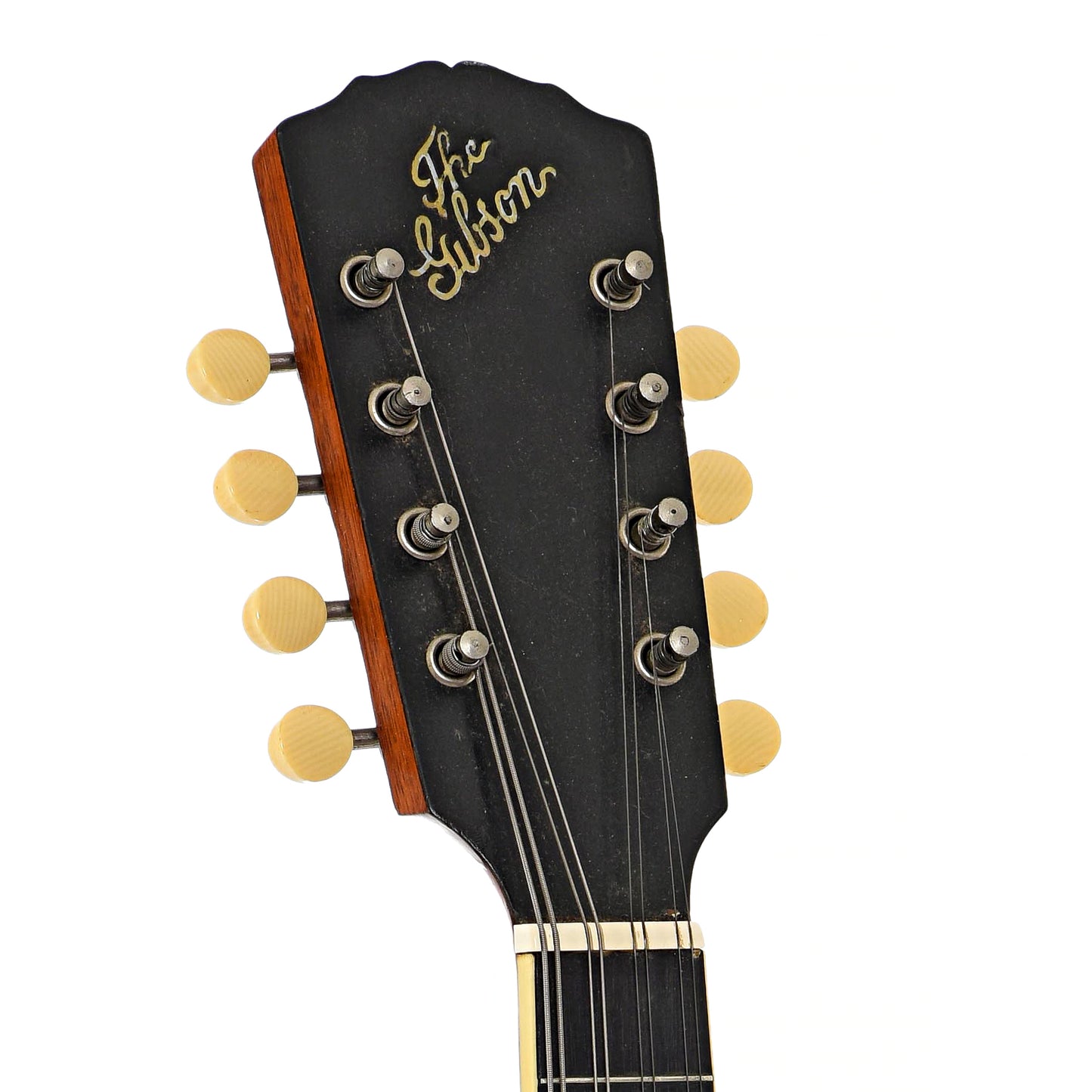 Headstock of Gibson H-1 Mandola