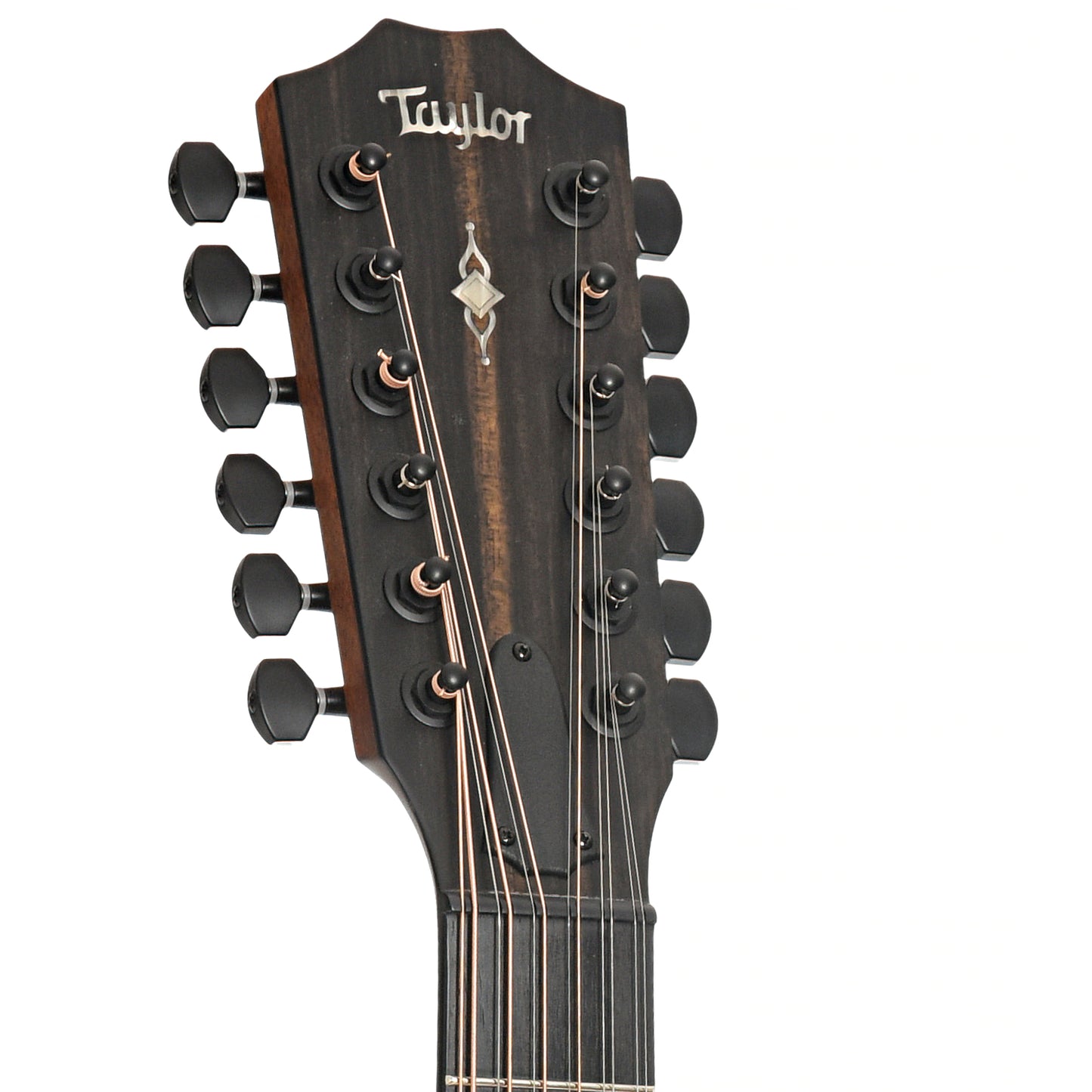 Headstock of Taylor 362ce 12-String Acoustic-Electric Guitar 