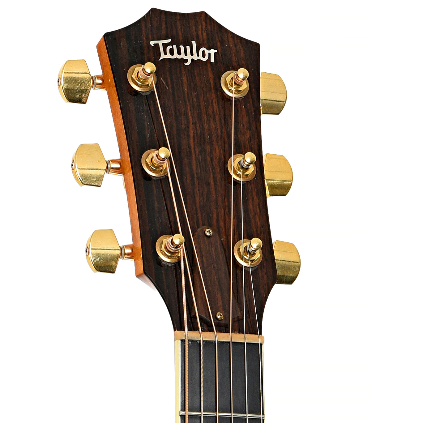 Headstock of Taylor GA-6 Acoustic Guitar