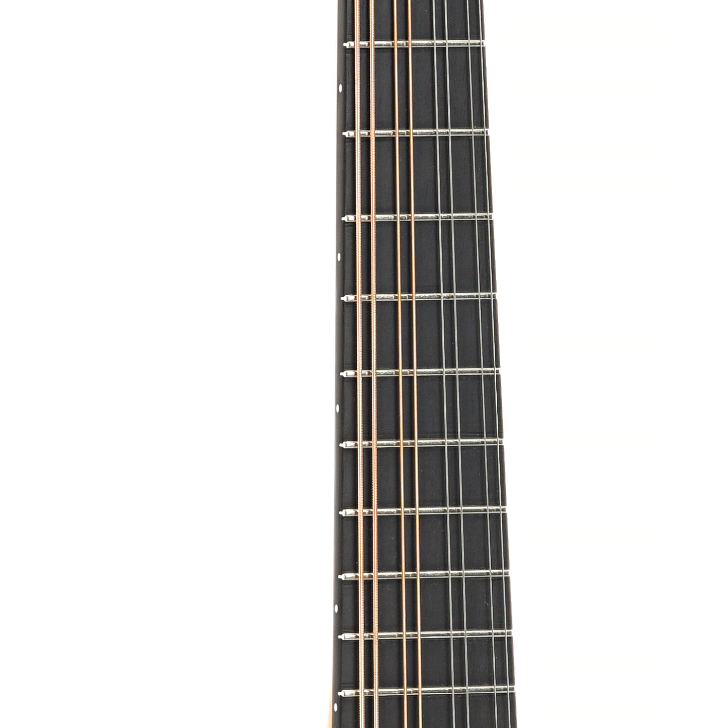 Fretboard of Joel A. Shewchuk A-Model Mandolin (2016)