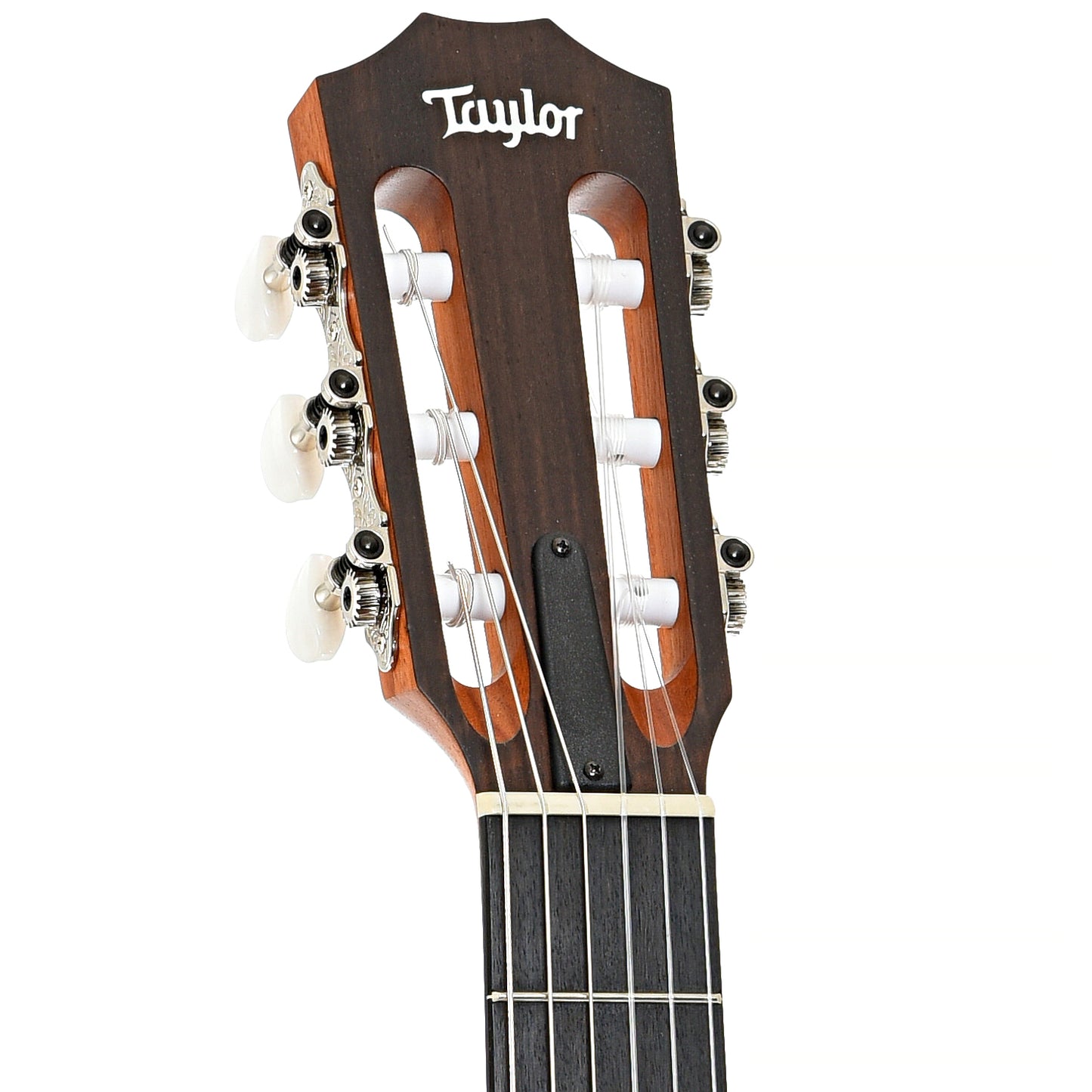 front headstock of Taylor Academy 12E-N Nylon String Acoustic Guitar (2023)