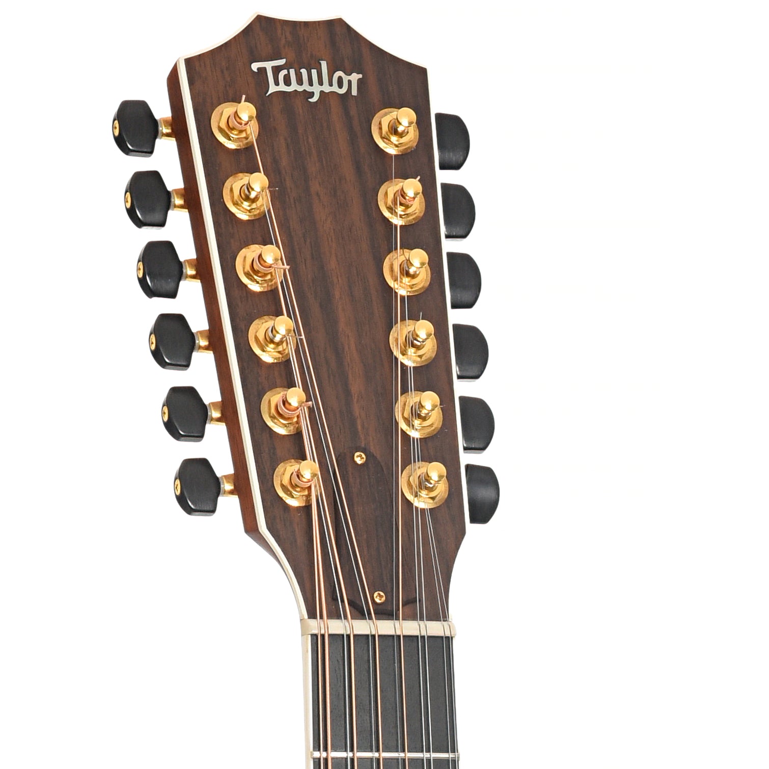 Headstock of Taylor 854-CE 12-String Guitar