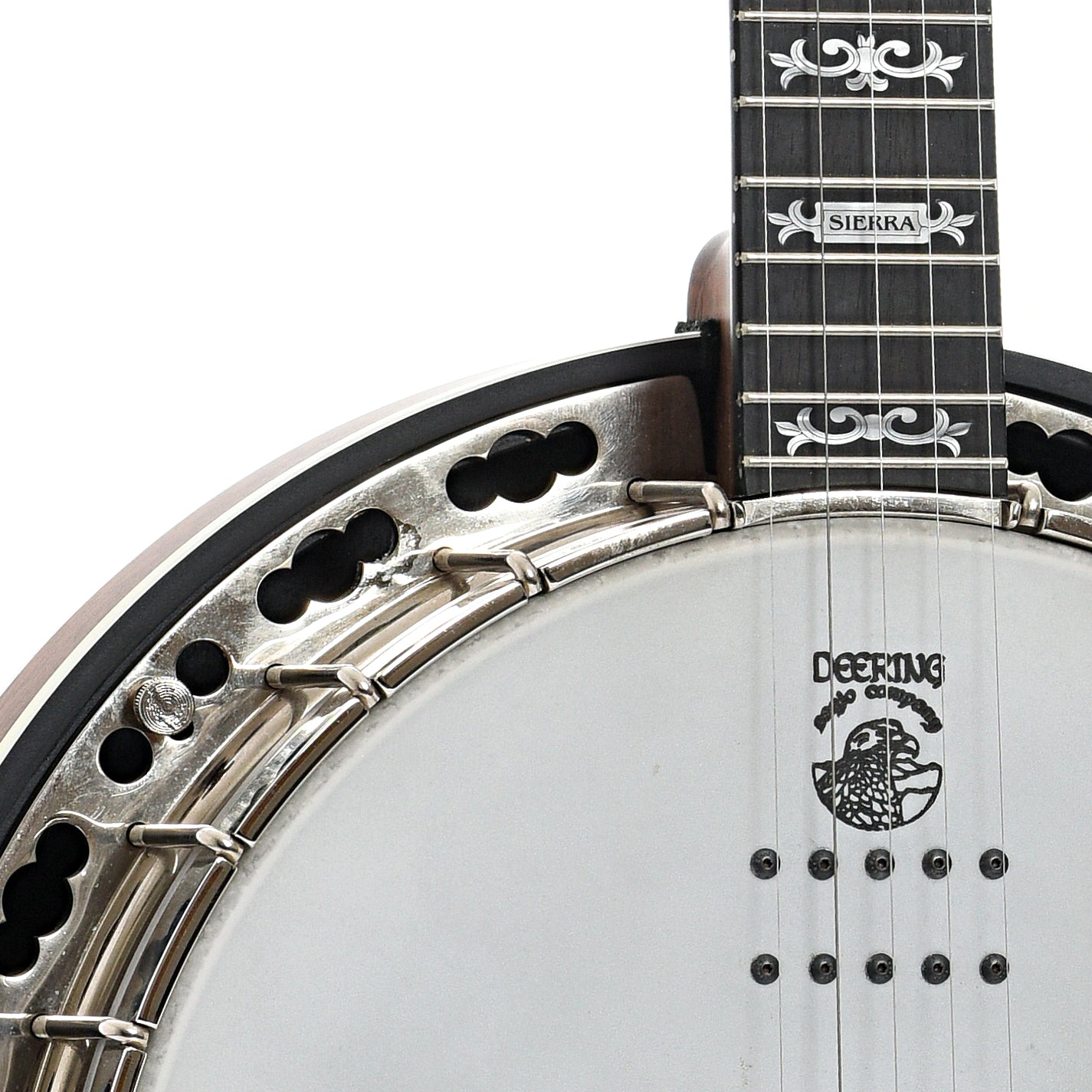 Deering Sierra A/E 5-String Resonator Banjo (2011)