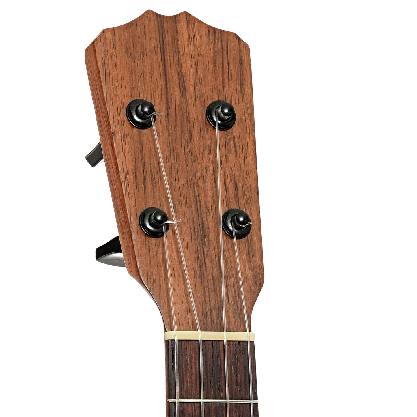 Headstock of Front of ROMERO SERIES 5 LIMITED EDITION TENOR UKULELE