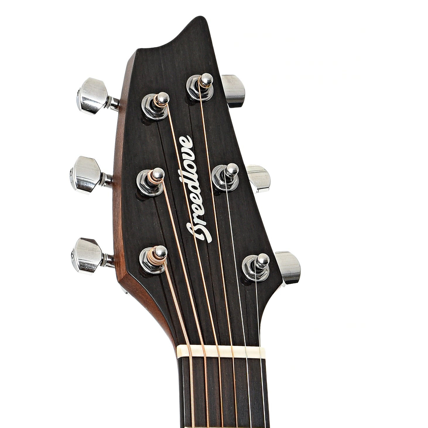 Headstock of Breedlove Pursuit EX Companion CE MMP