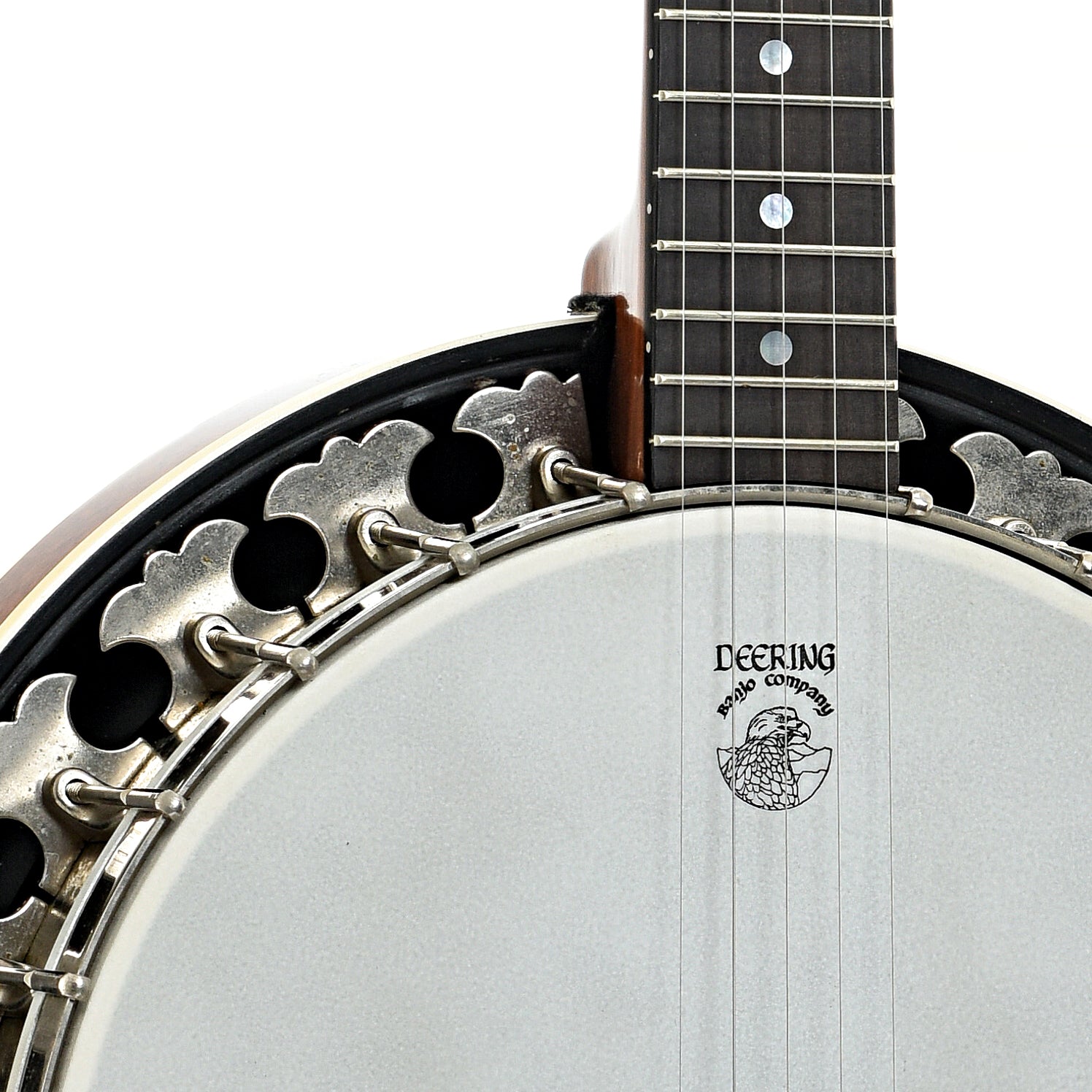 Front neck joint and flange of Boston 5-String banjo