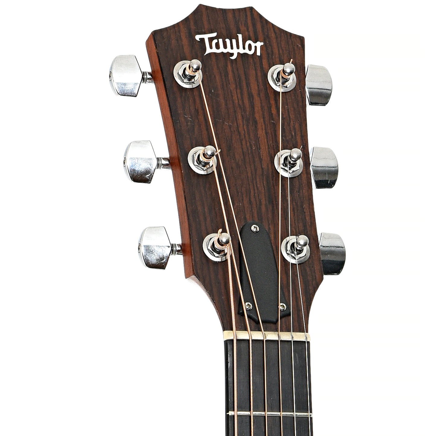 Front headstock of Taylor 214ce Walnut Acoustic-Electric Guitar (2015)