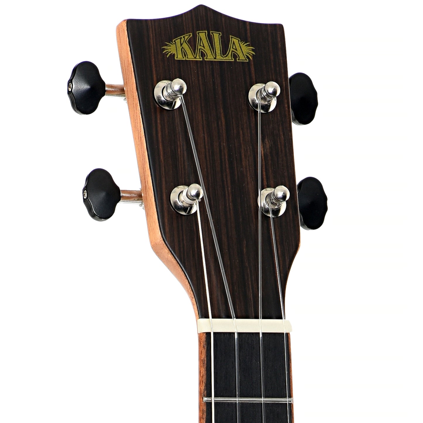 Kala KA-SB-ACA-T Electric Ukulele (recent)