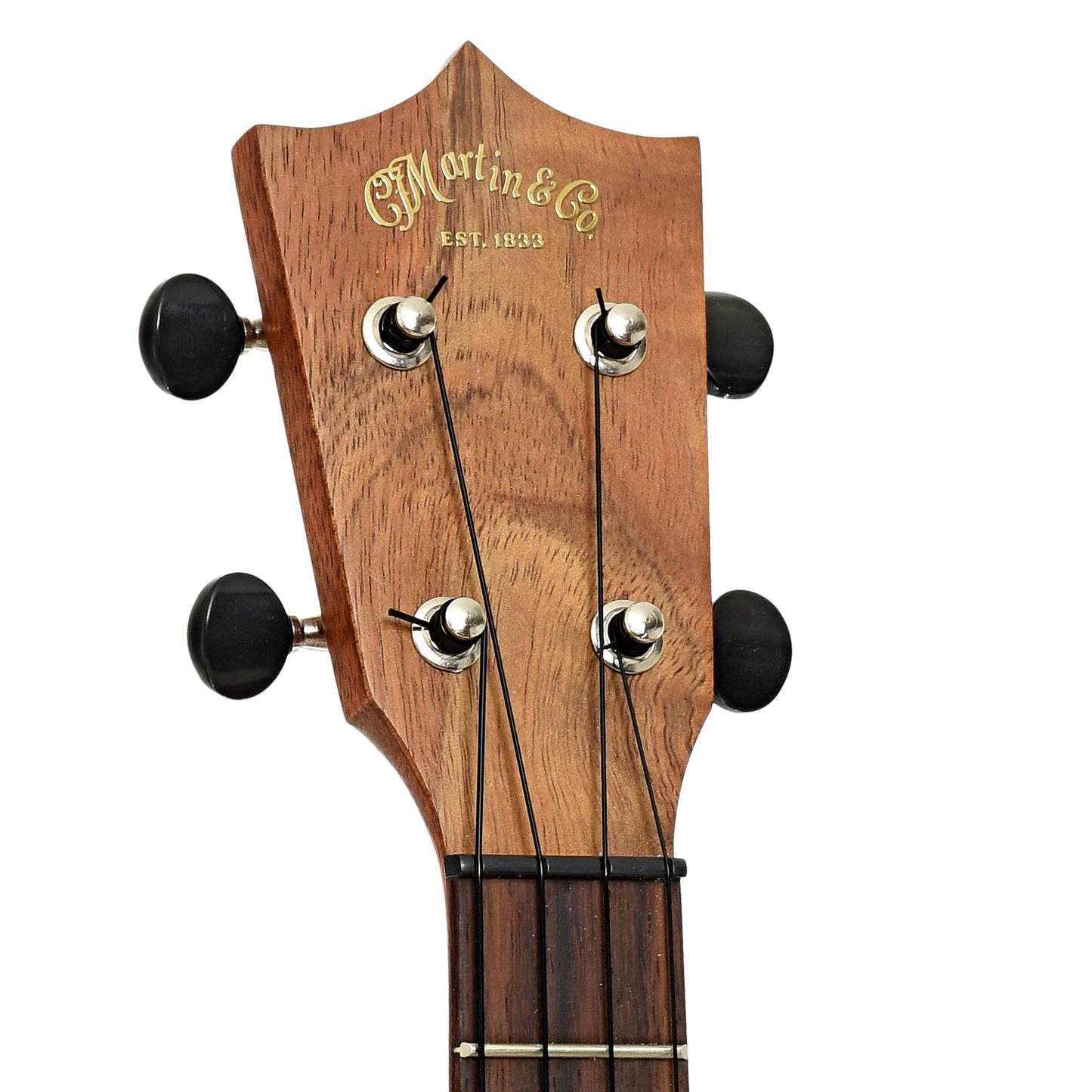 Headstock of Martin TKE Tenor Ukulele