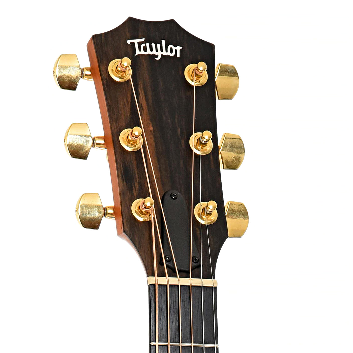 Headstock of Taylor 214ce DLX  Acoustic-Electric Guitar