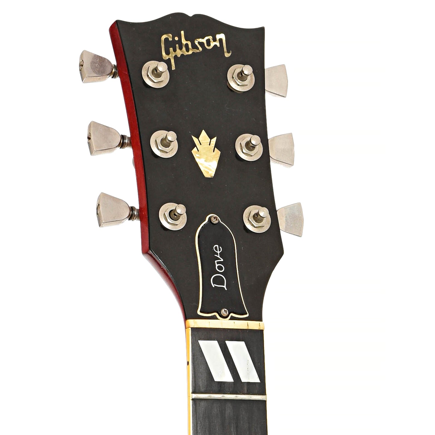 Front headstock of Gibson Dove Custom Acoustic Guitar (1980)