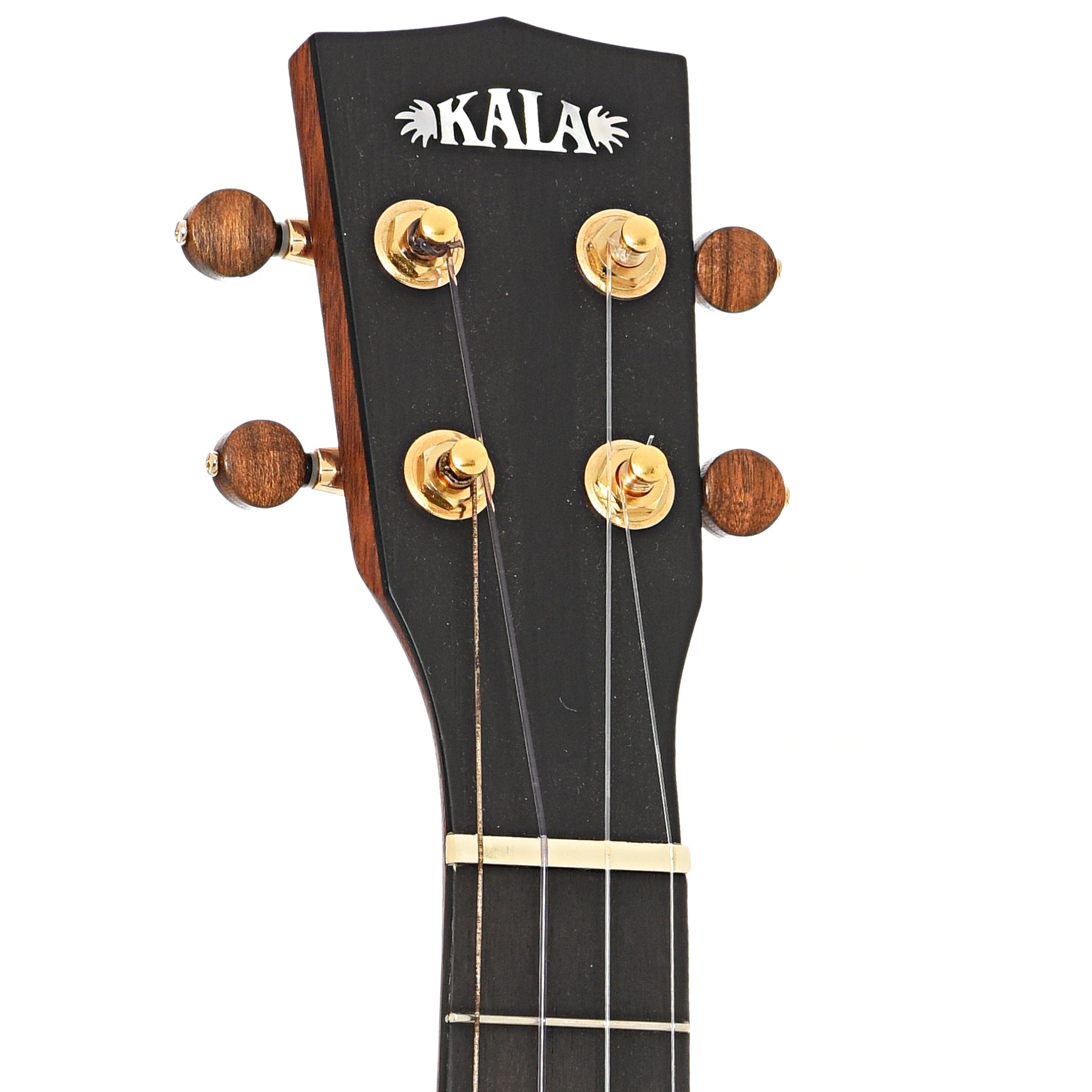 Front headstock of Kala Elite Koa 3 Tenor Ukulele, Gloss Finish with Case (2020)