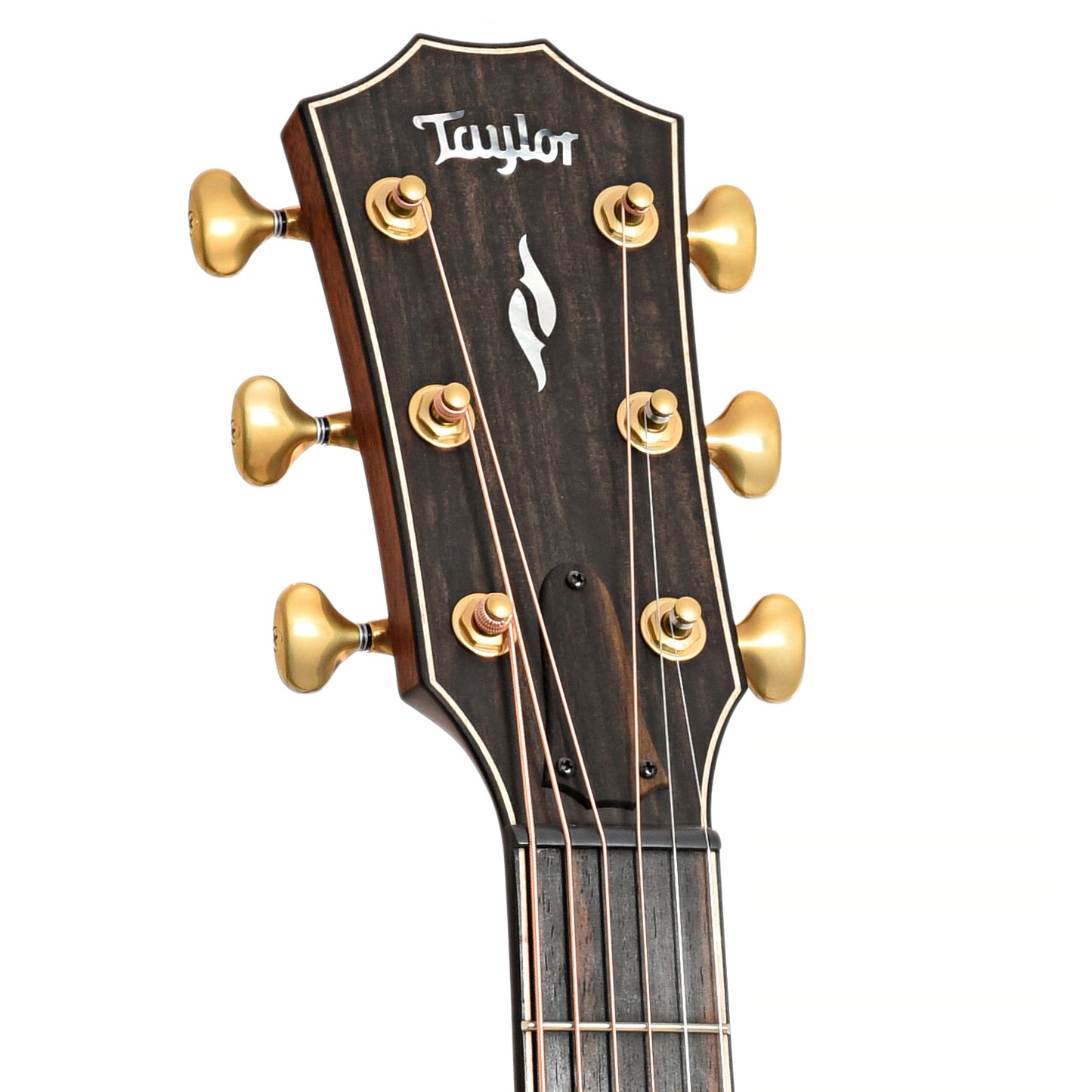 Front headstock of Taylor Builder's Edition 814ce