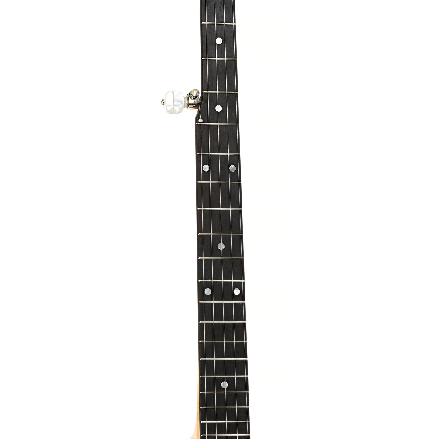 Fretboard of Bart Reiter Special Open Back  Banjo (2003)