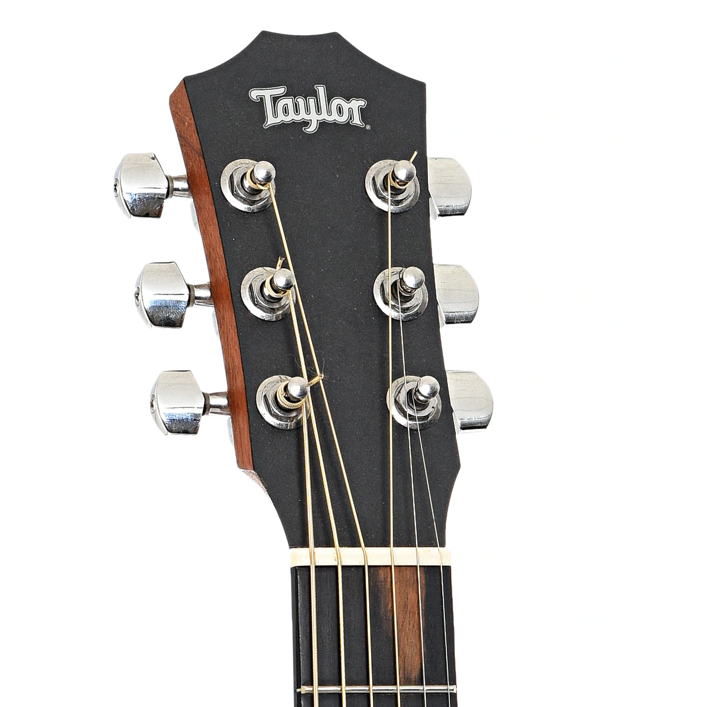 Headstock of Taylor Baby 305-GB Acoustic Guitar