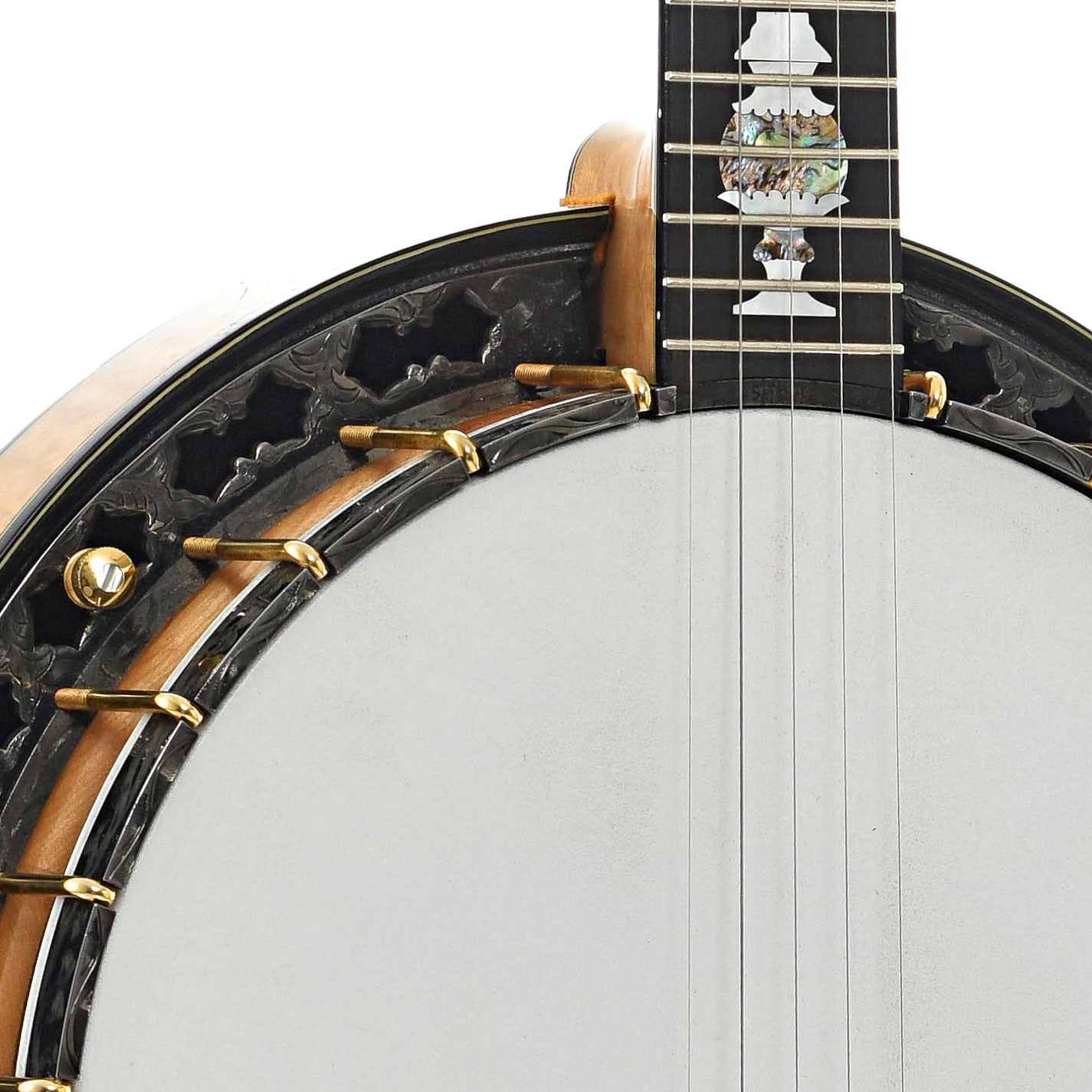 Front body and neck join of Stelling Tree of Life Resonator Banjo (2001)