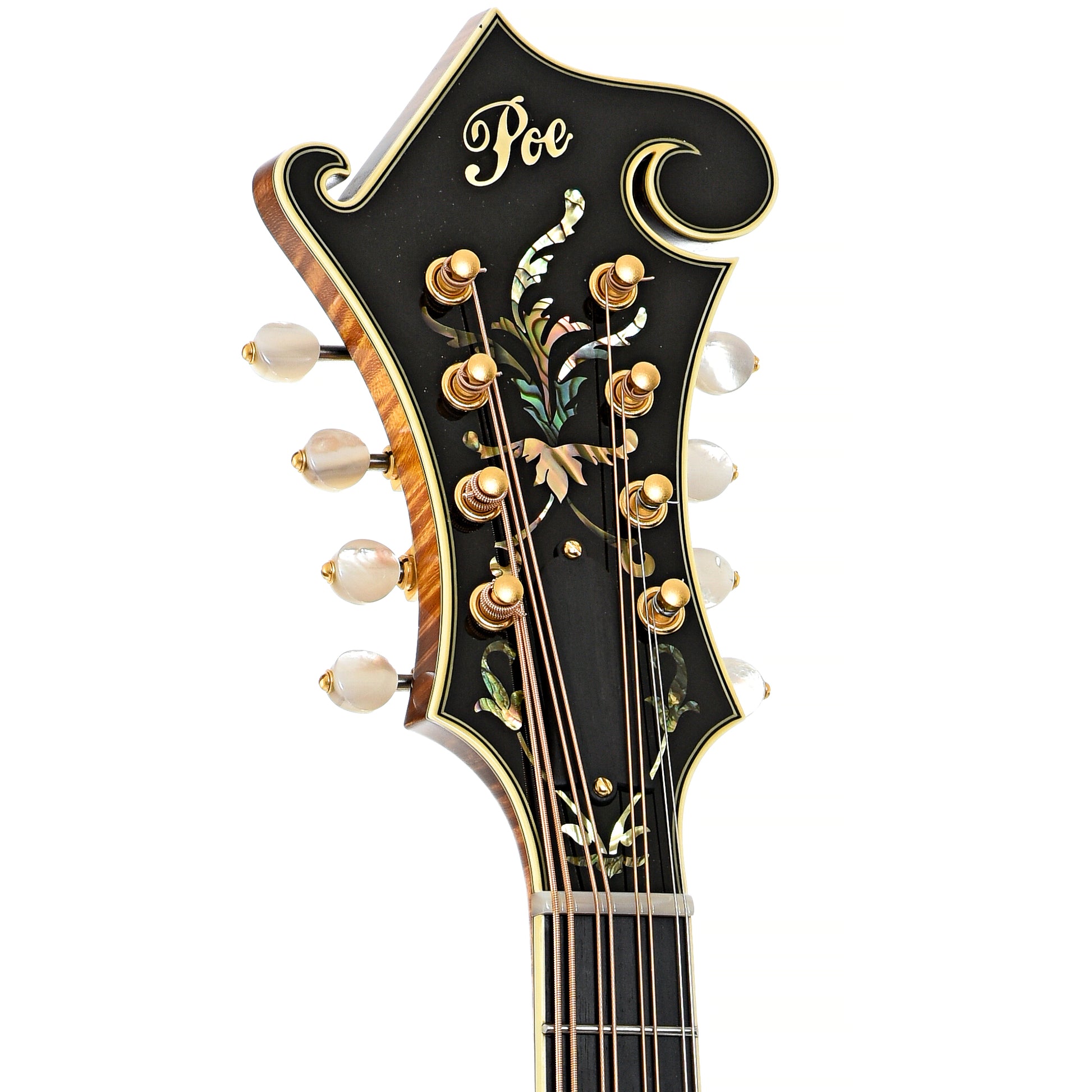 Front headstock of Poe PH-5 Mandola